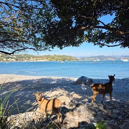 Ca' De Otto, Just A Few Minutes From The Sea! *
