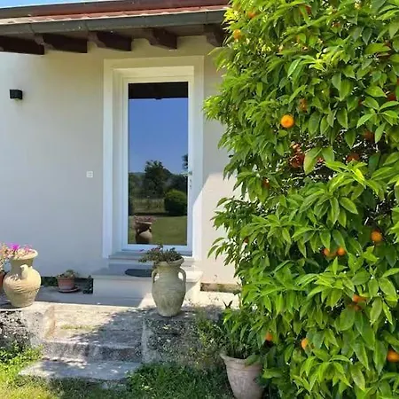 Ca' De Otto, Just A Few Minutes From The Sea! * Nicola